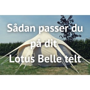 Vedligeholdelsesguide - Officiel (engelsk)