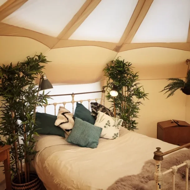 Indervg (cocoon lining)