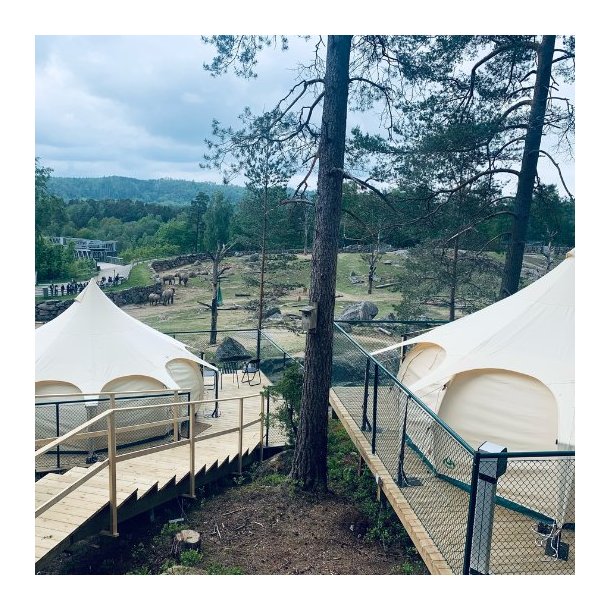 Bardunholdere - spar plads rundt om teltet!